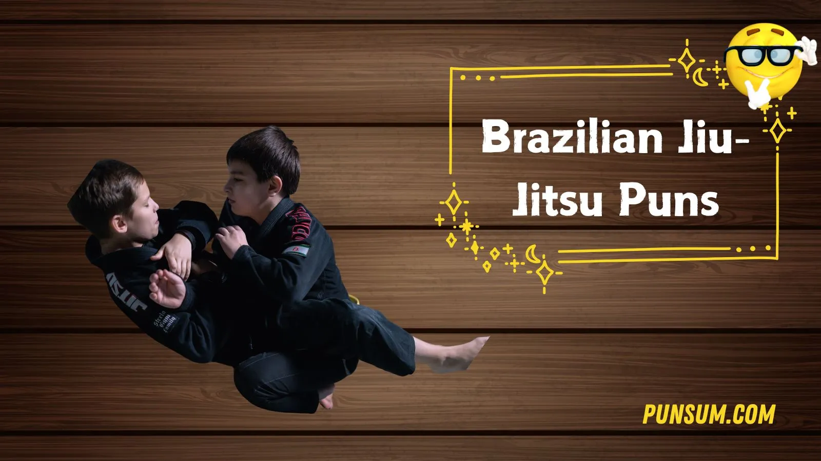 Brazilian Jiu-Jitsu Puns