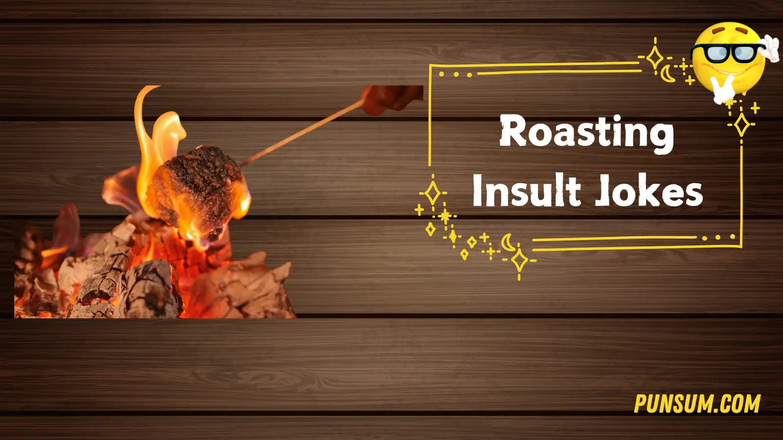 Roasting Insult Jokes